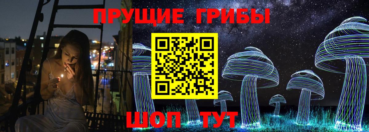 Галлюциногенные грибы Psilocybine cubensis Полевской