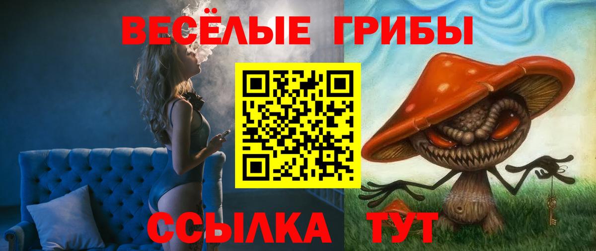 Полевской  Псилоцибиновые грибы мухоморы  Вход с VPN 